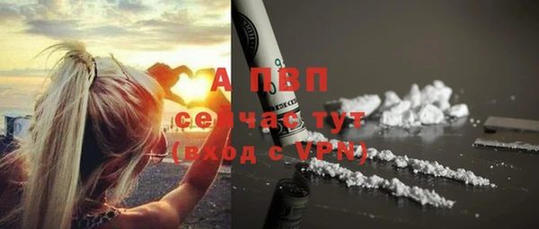 эйфоретик Козельск
