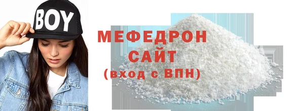 индика Кинешма