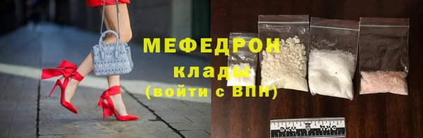 индика Кинешма