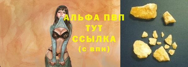 индика Кинешма