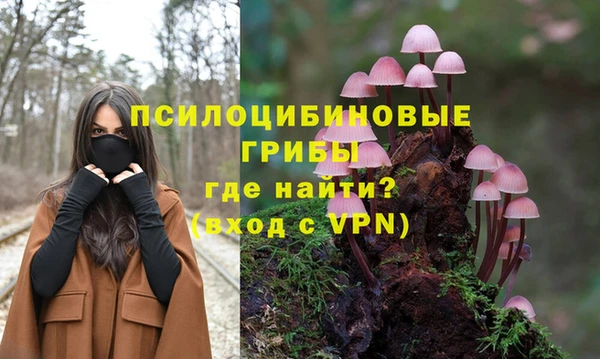 эйфоретик Козельск