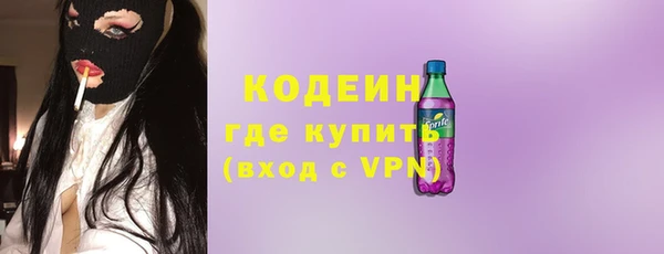 индика Кинешма