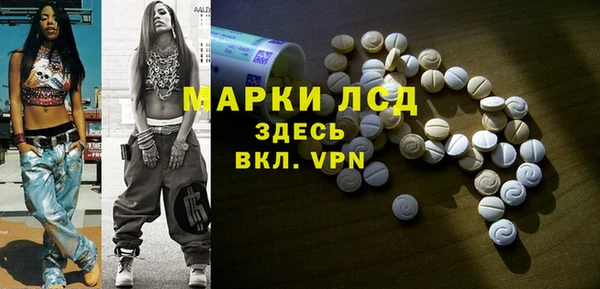 индика Кинешма
