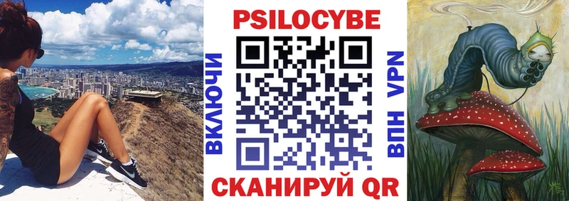 купить   blacksprut   нарко площадка какой сайт  Владимир  Псилоцибиновые грибы Psilocybine cubensis 