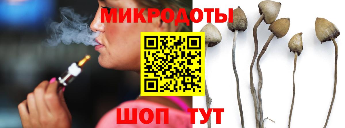 Владимир  даркнет сайт  Вход с VPN  Псилоцибиновые грибы ЛСД  Галлюциногенные грибы прущие грибы 